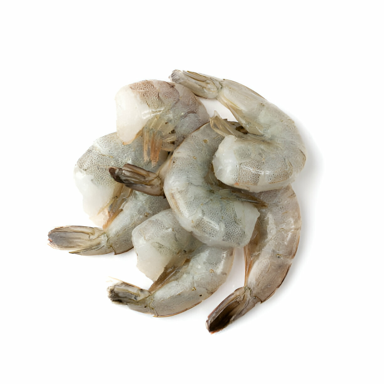 Shrimp From Bangladesh
