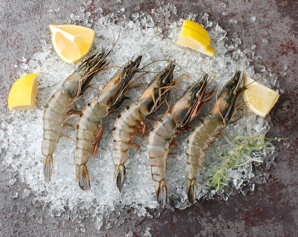 Shrimp From Bangladesh